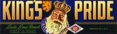 King s Pride